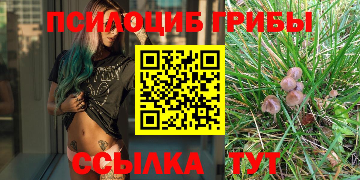Галлюциногенные грибы мухоморы  Вход с VPN  Янаул 