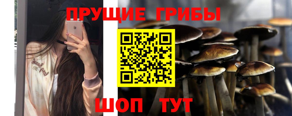 Галлюциногенные грибы прущие грибы Янаул